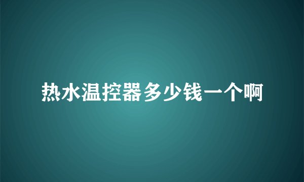 热水温控器多少钱一个啊