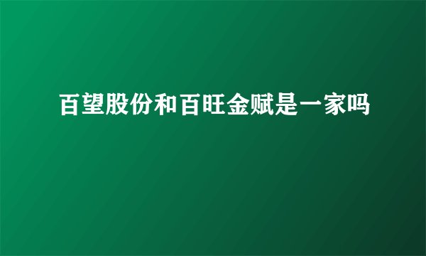 百望股份和百旺金赋是一家吗