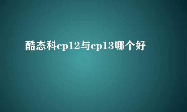 酷态科cp12与cp13哪个好