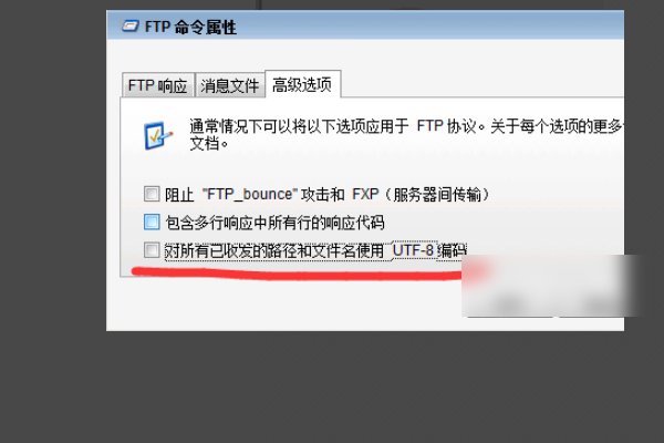serv- u怎么设置才能打开文件