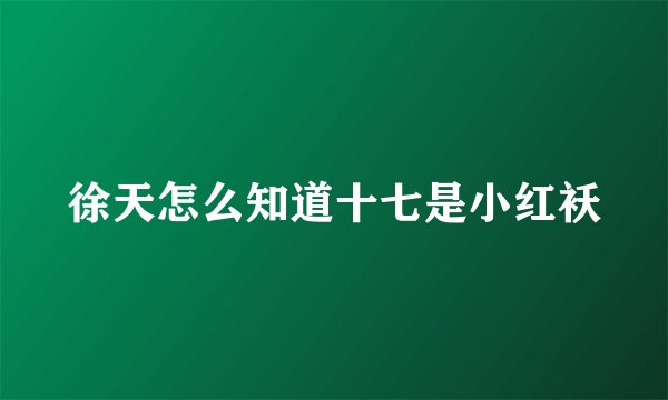 徐天怎么知道十七是小红袄