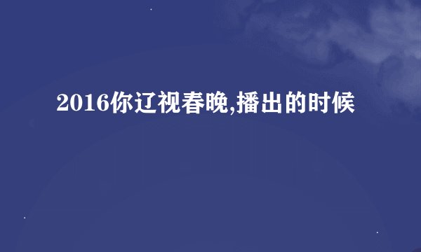 2016你辽视春晚,播出的时候