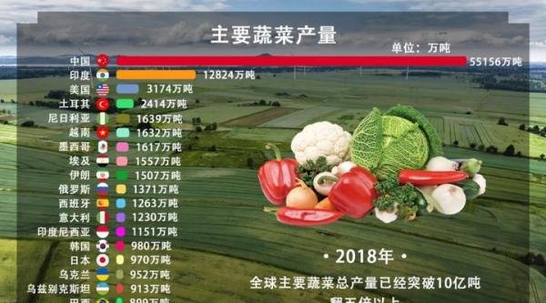 韩国大妈吐槽白菜比中国贵10倍,气候导致的蔬菜价格暴涨亟待解决