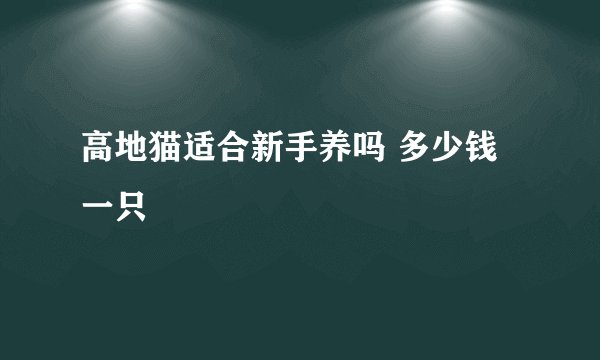 高地猫适合新手养吗 多少钱一只