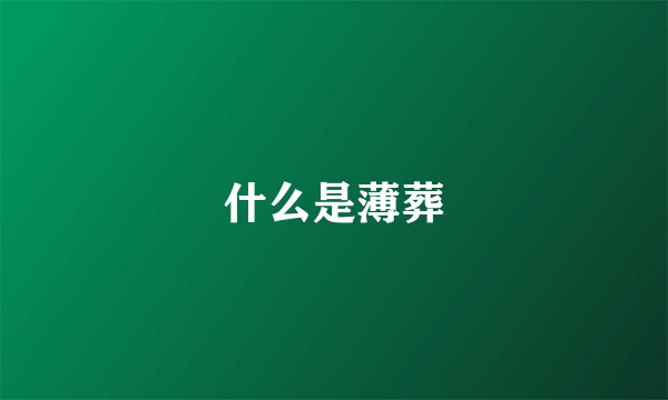 什么是薄葬