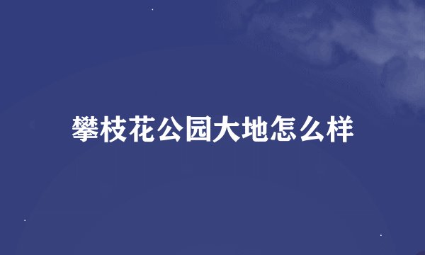 攀枝花公园大地怎么样