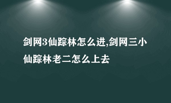 剑网3仙踪林怎么进,剑网三小仙踪林老二怎么上去