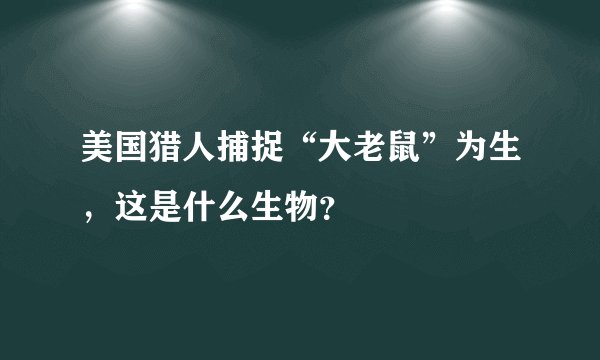 美国猎人捕捉“大老鼠”为生，这是什么生物？