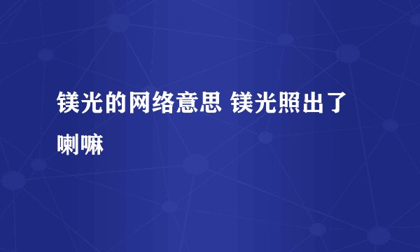 镁光的网络意思 镁光照出了喇嘛