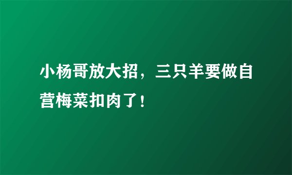 小杨哥放大招，三只羊要做自营梅菜扣肉了！