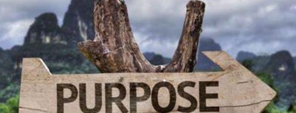 on purpose是什么意思
