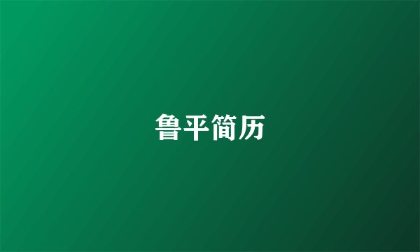 鲁平简历