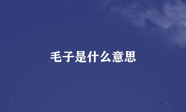 毛子是什么意思