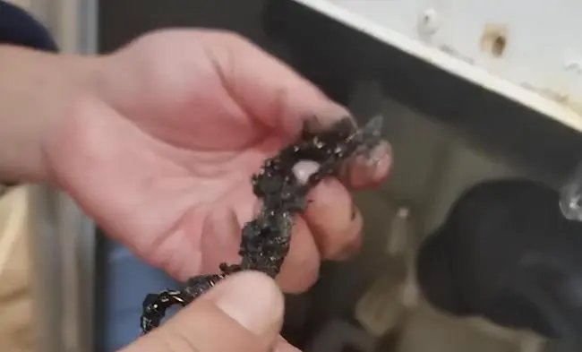 河南一男子修洗衣机找到四年前丢失的40多克金项链,失而复得的感觉如何?