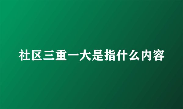社区三重一大是指什么内容