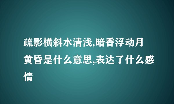 疏影横斜水清浅,暗香浮动月黄昏是什么意思,表达了什么感情