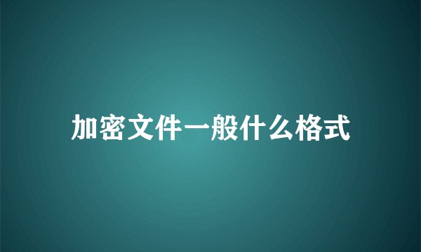 加密文件一般什么格式