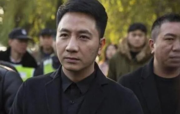 林生斌关联公司有4家经营异常,这些公司出现了什么问题?