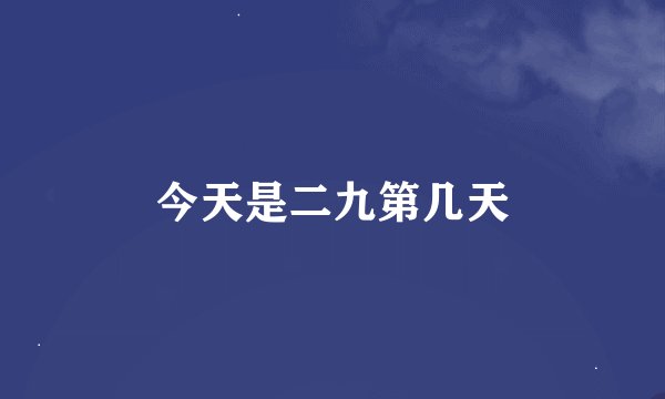 今天是二九第几天