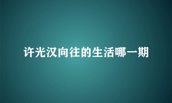 许光汉向往的生活哪一期