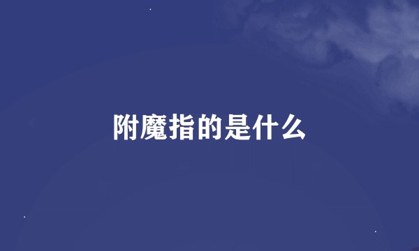 附魔指的是什么