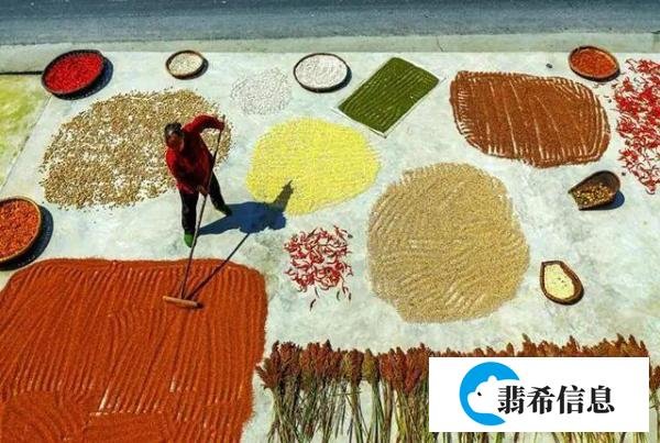 我们为什么要屯粮？占全球人口20%，中国却屯了全球一半的粮食！