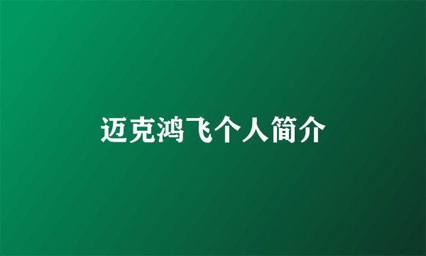 迈克鸿飞个人简介