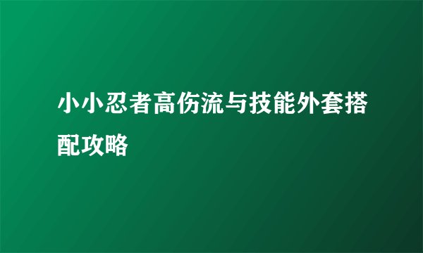 小小忍者高伤流与技能外套搭配攻略