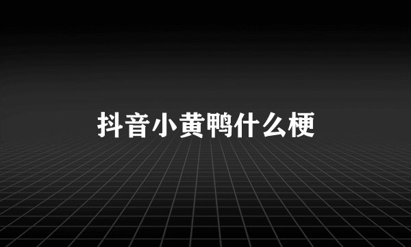 抖音小黄鸭什么梗