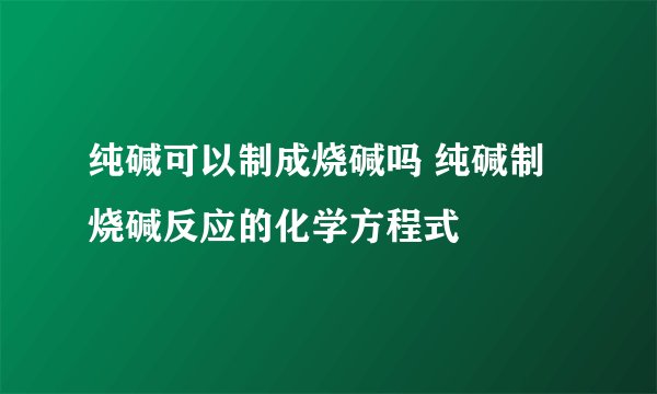 纯碱可以制成烧碱吗 纯碱制烧碱反应的化学方程式