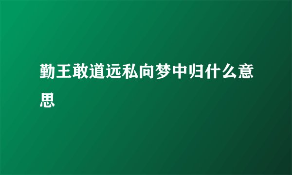 勤王敢道远私向梦中归什么意思