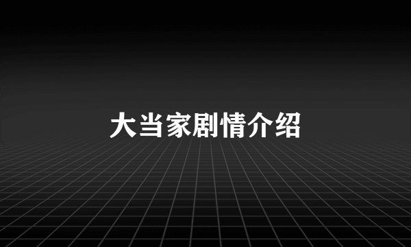 大当家剧情介绍