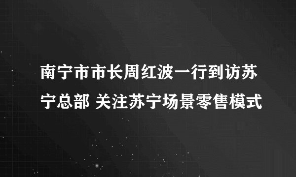 南宁市市长周红波一行到访苏宁总部 关注苏宁场景零售模式