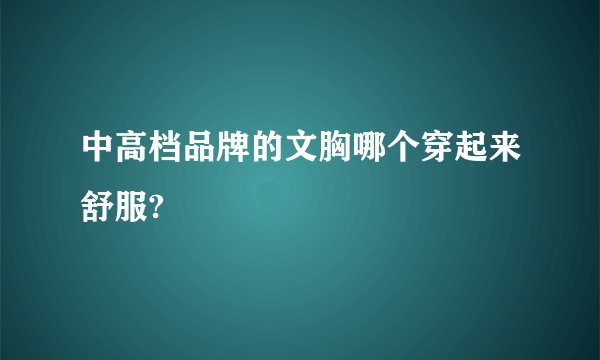 中高档品牌的文胸哪个穿起来舒服?