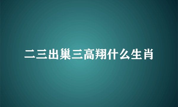 二三出巢三高翔什么生肖