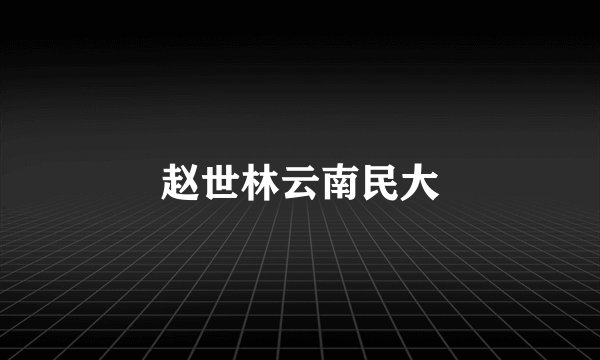 赵世林云南民大