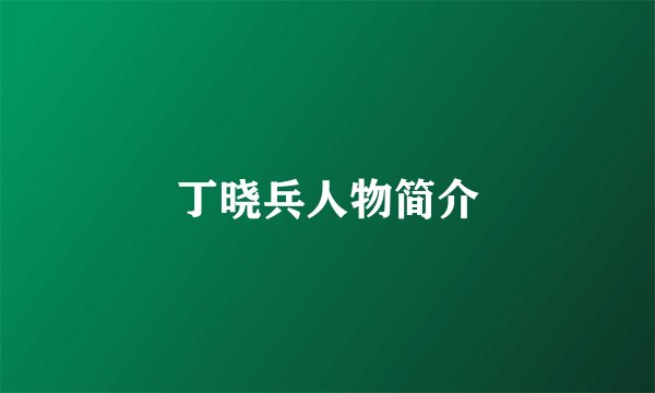 丁晓兵人物简介