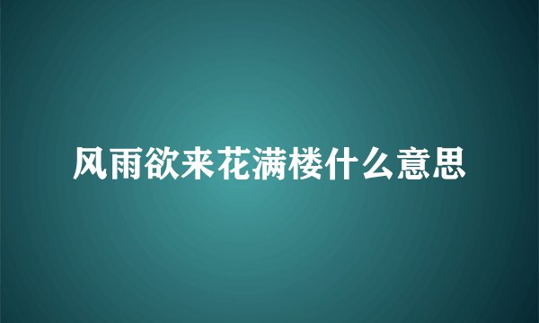 风雨欲来花满楼什么意思