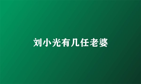 刘小光有几任老婆