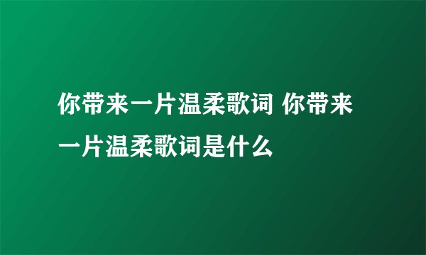 你带来一片温柔歌词 你带来一片温柔歌词是什么