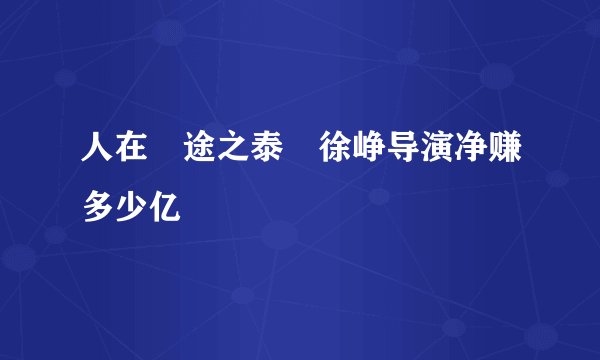 人在囧途之泰囧徐峥导演净赚多少亿