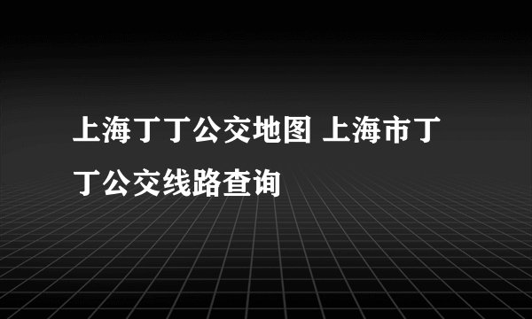 上海丁丁公交地图 上海市丁丁公交线路查询
