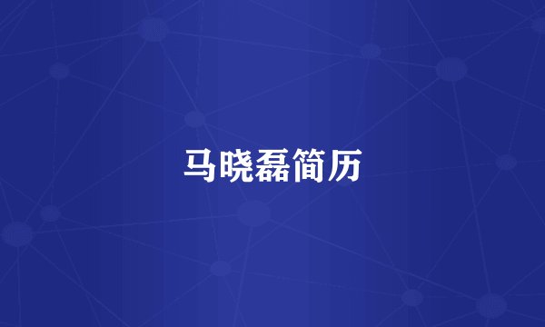 马晓磊简历