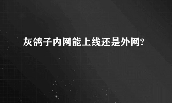 灰鸽子内网能上线还是外网?