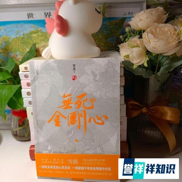 《无死的金刚心》丨一场心灵的穿越之旅,寻找生命的真谛
