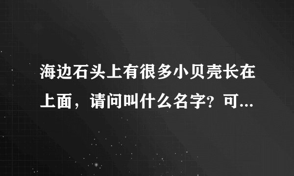 海边石头上有很多小贝壳长在上面，请问叫什么名字？可以吃吗？