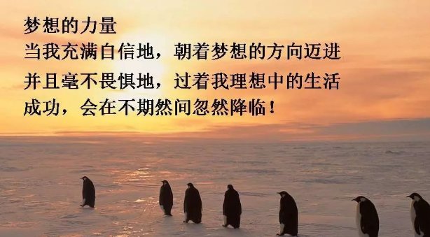 因为热爱所以坚持的唯美句子