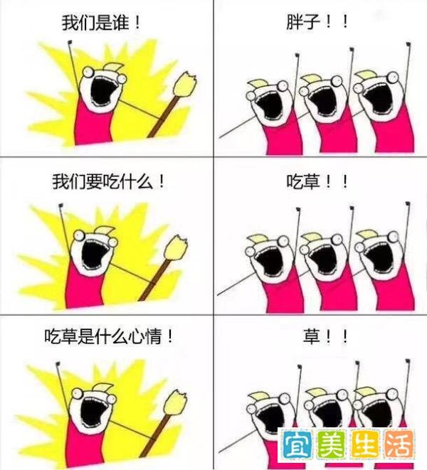 我们是谁！此漫画必火！！！