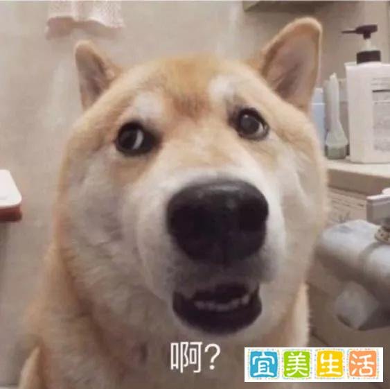 Netflix华语片，女神新剧扑街了？——《罪梦者》