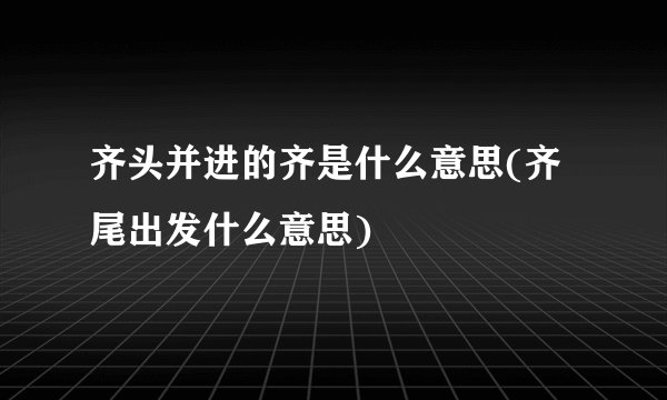 齐头并进的齐是什么意思(齐尾出发什么意思)